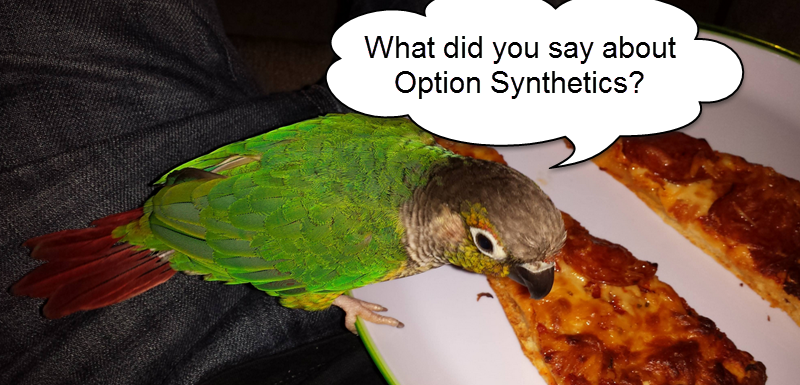 Parrot asking about Option Synthetics Image