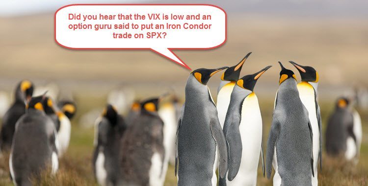 2015-05-07 Penguins Discussing an Option Guru Image