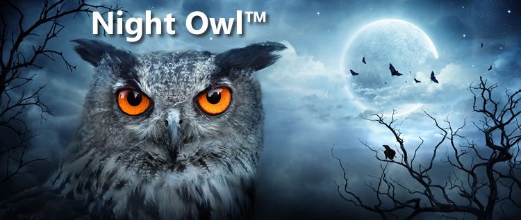 The Night Owl™
